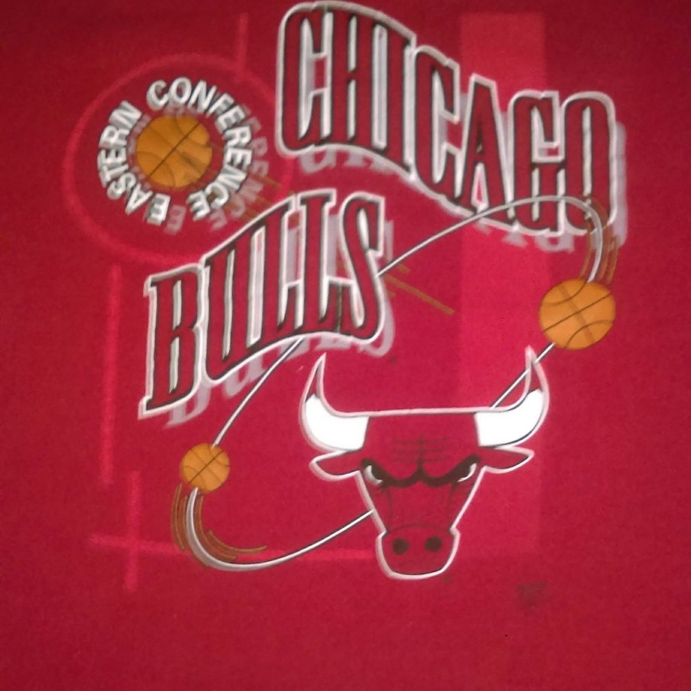 Vnt Nutmeg Mills Chicago Bulls t shirt